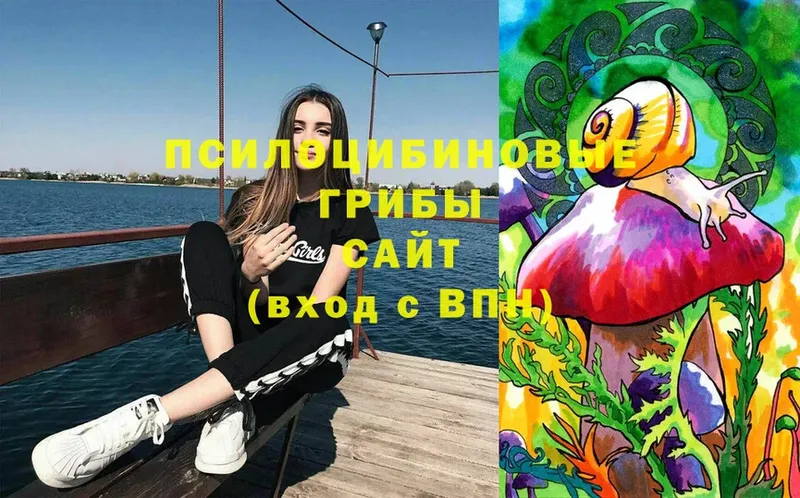 Галлюциногенные грибы Magic Shrooms Реж